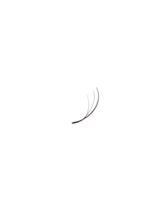True Tone Brown Trays (Double Layer Wispies)
